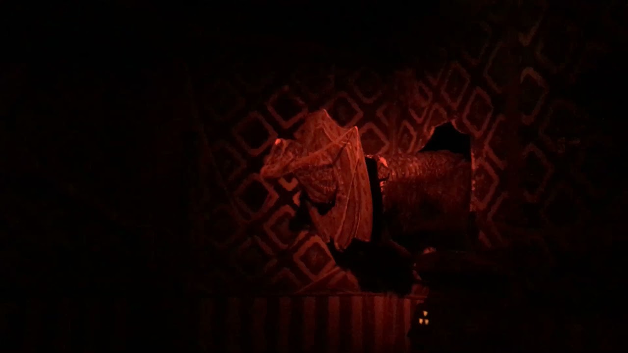 Ghosti Hotel HOPI HARI (trem fantasma)