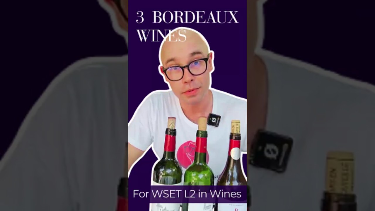 3 Bordeaux Wines You NEED to Know for WSET Level 2