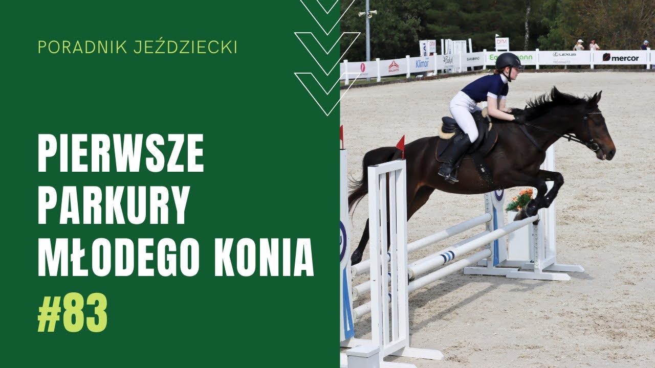 PIERWSZE PARKURY MŁODEGO KONIA | Poradnik jeździecki #83