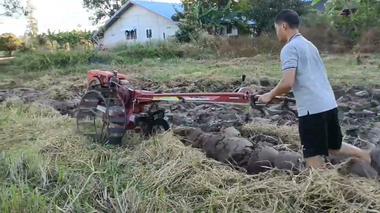 ไถกลบตอซังข้าว  ไม่ต้องเผา