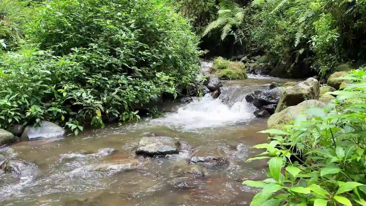 Unwind deeply with calming river sound around soft water to keep long peaceful restful sleep
