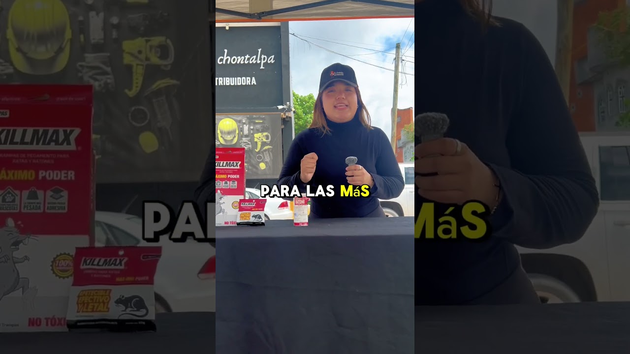 🐀&iquest;Las ratas se creen due&ntilde;as de tu casa? Hora de bajarlas del trono Con Killmax,el control de plagas