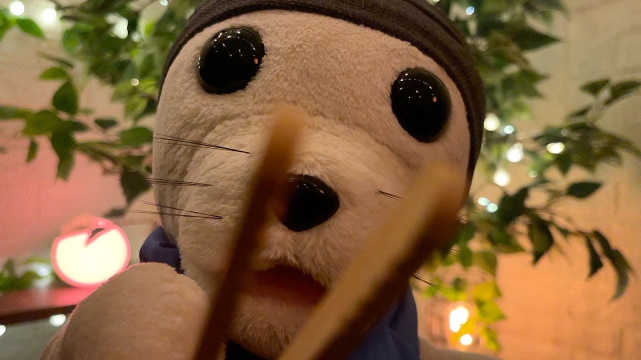 Fluffy Seal is an Ultimate Menace to Insomnia | Visual Tingles ASMR 🦭✨