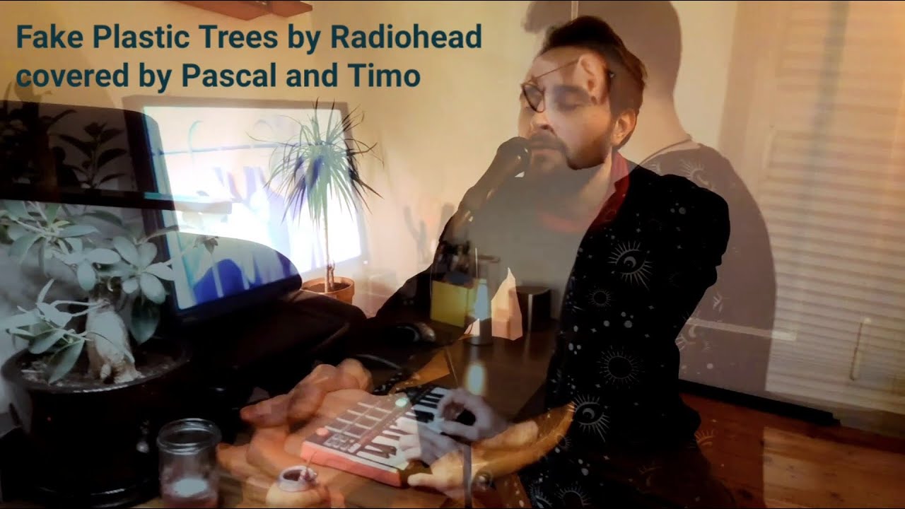 Fake Plastic Trees - Radiohead (Cover by Timo & Pascal)
