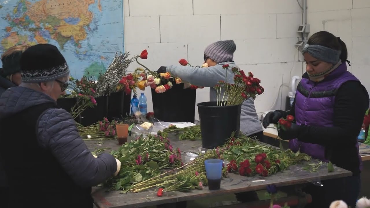 Lavorare in floricoltura: un'opportunità da cogliere in Liguria