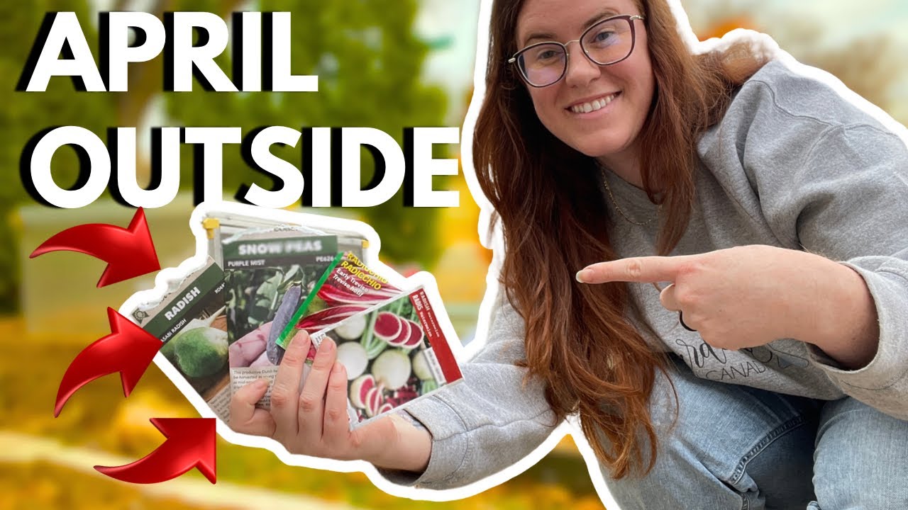 Garden Seeds YOU NEED to Plant Outside In April For Food ASAP