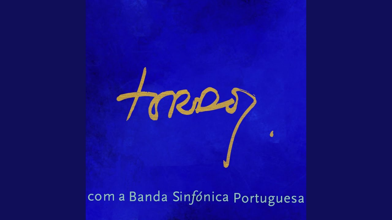 Se Digo Meu Amor