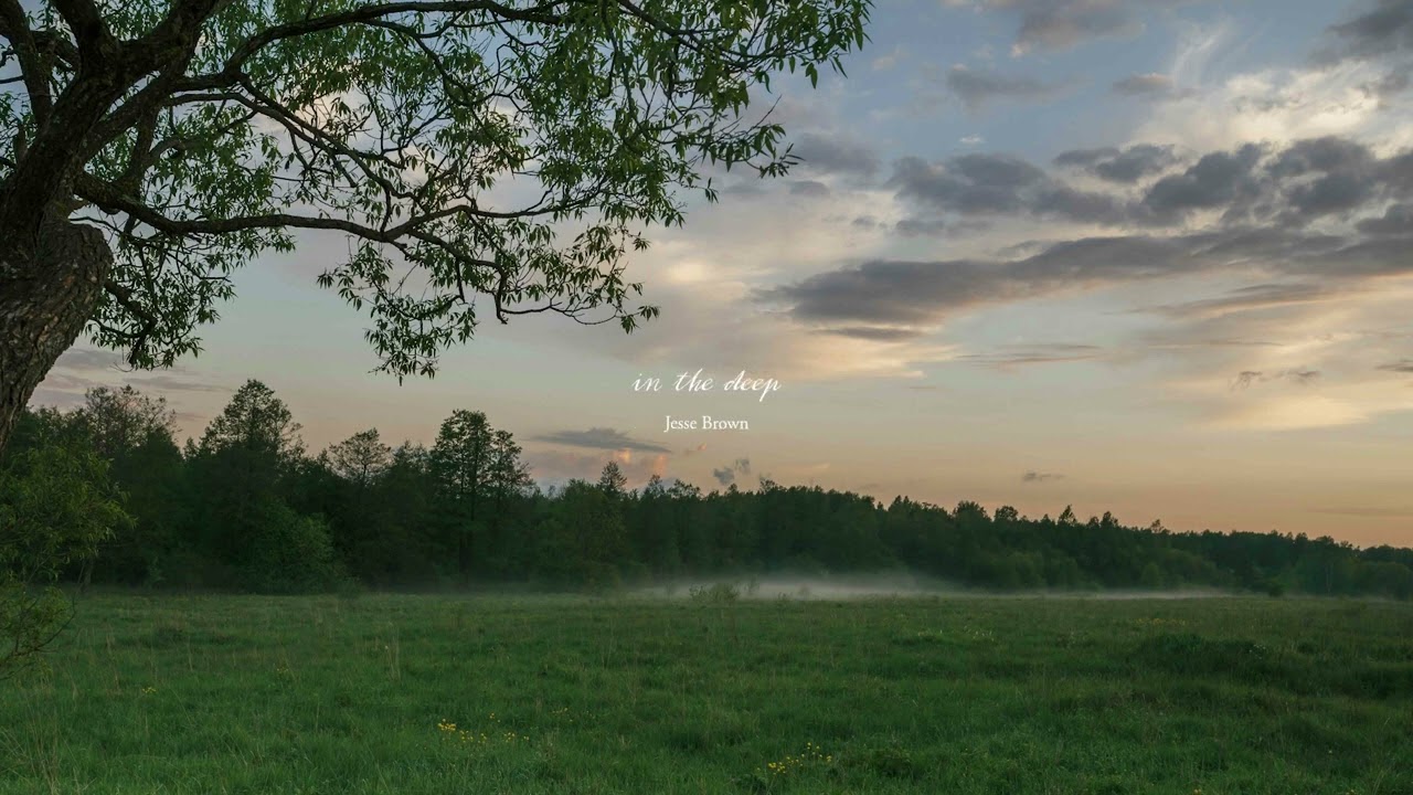 calm songs for moments of comfort 🤍