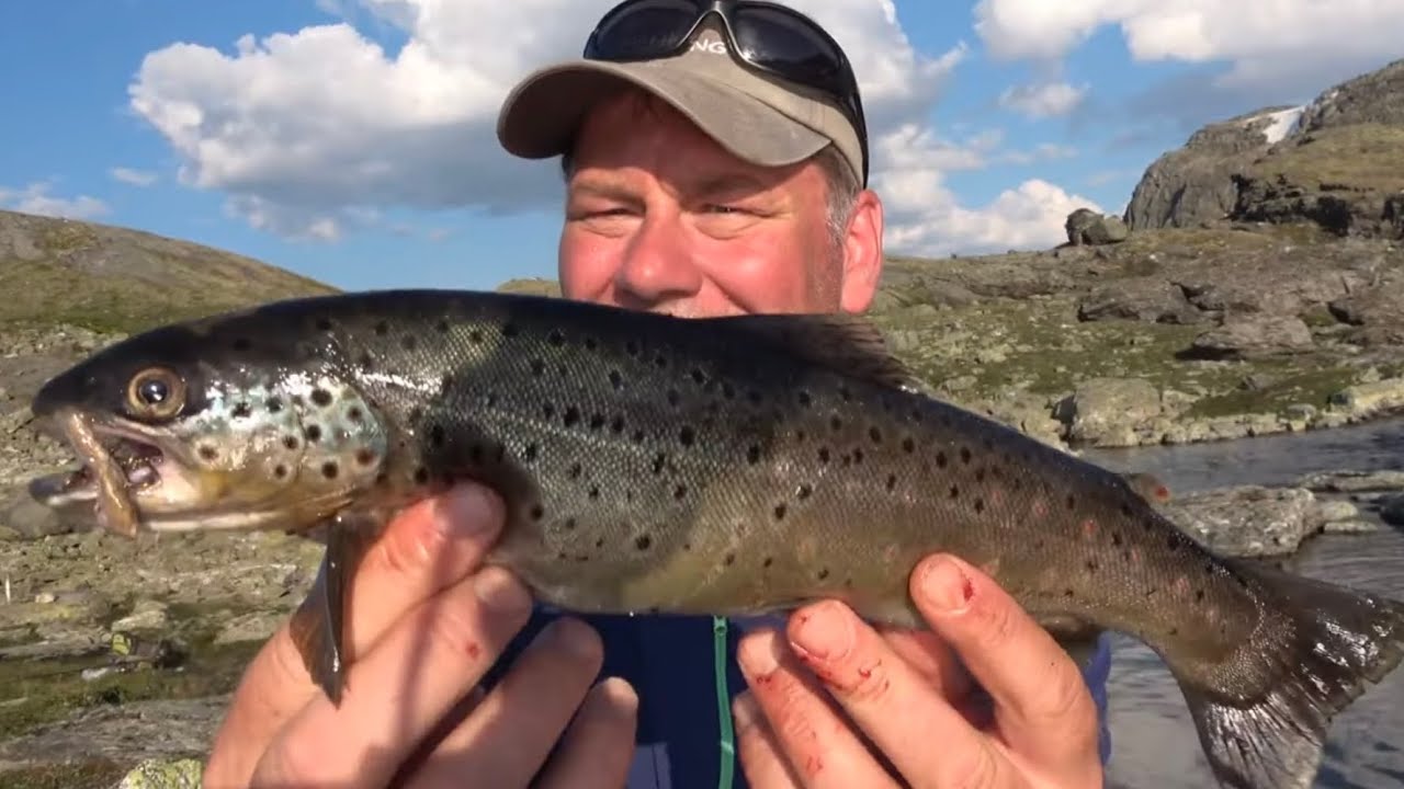 En Knalldag på Fjellfiske i elv, kulper og os DEL 2