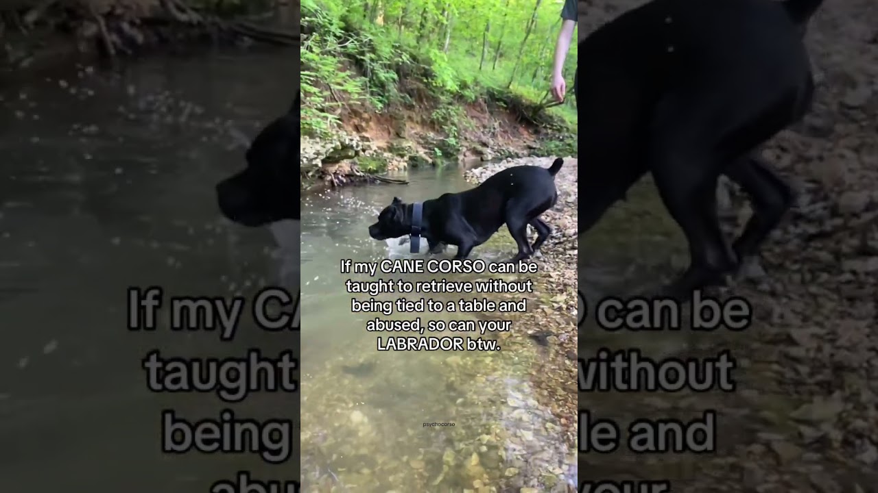 Force Fetch is not okay! 