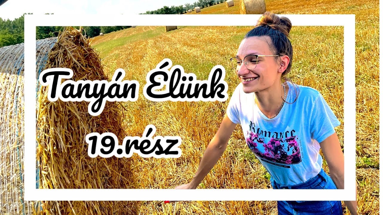 TANYÁN ÉLÜNK 19.rész - Földek, tárcsázás, érnek a zöldségek 👩‍🌾🚜🍅