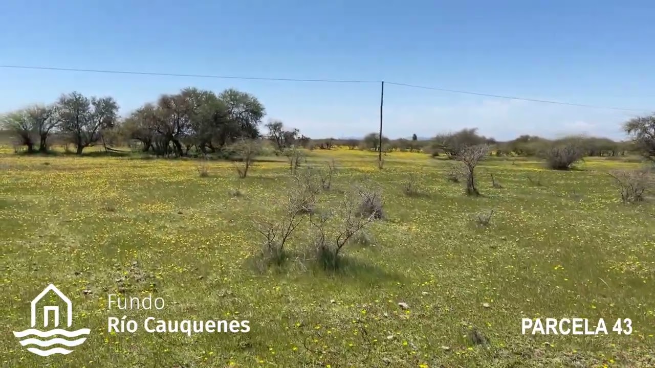 Parcela 43 - Fundo R&iacute;o Cauquenes