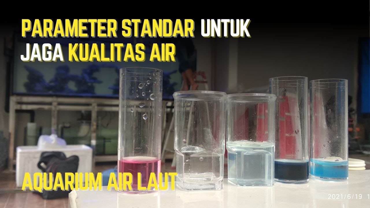 PARAMETER STANDAR UNTUK JAGA KUALITAS AIR DI AQUARIUM AIR LAUT