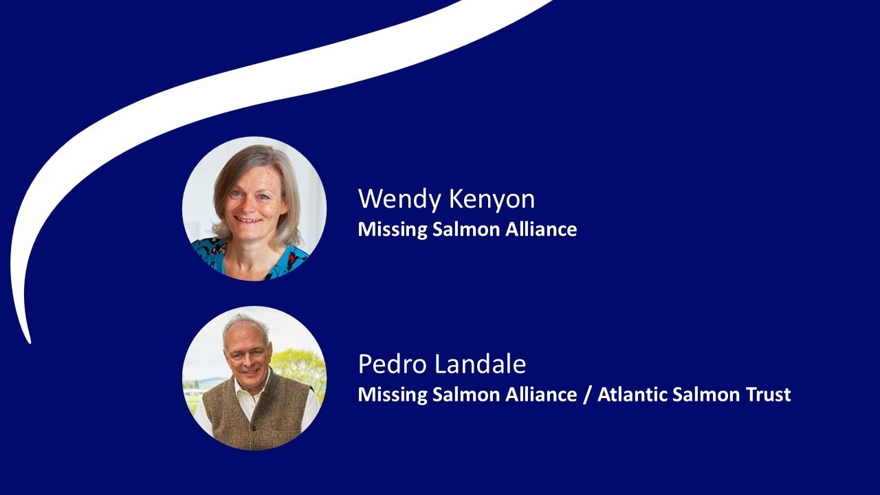 Wendy Kenyon & Pedro Landale: Wild Salmon Connections – What next?