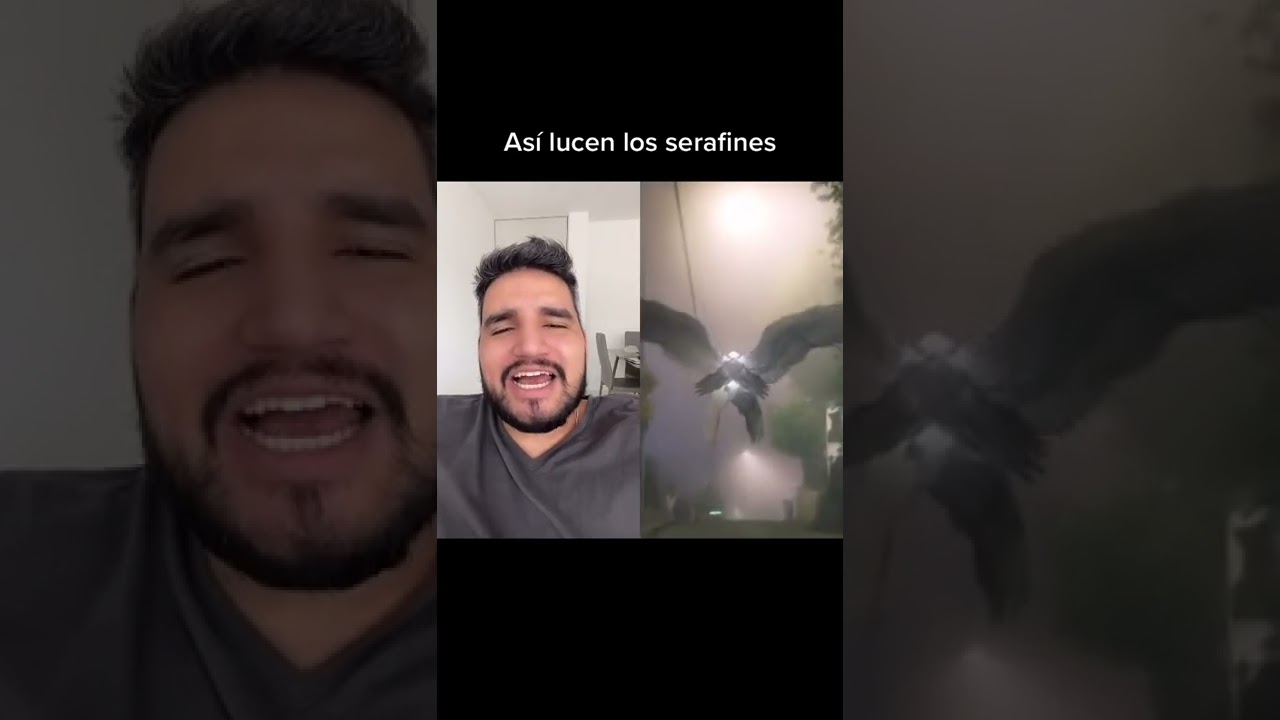 Ten CUIDADO con los SERAFINES de la JERARQUIA de los ANGELES