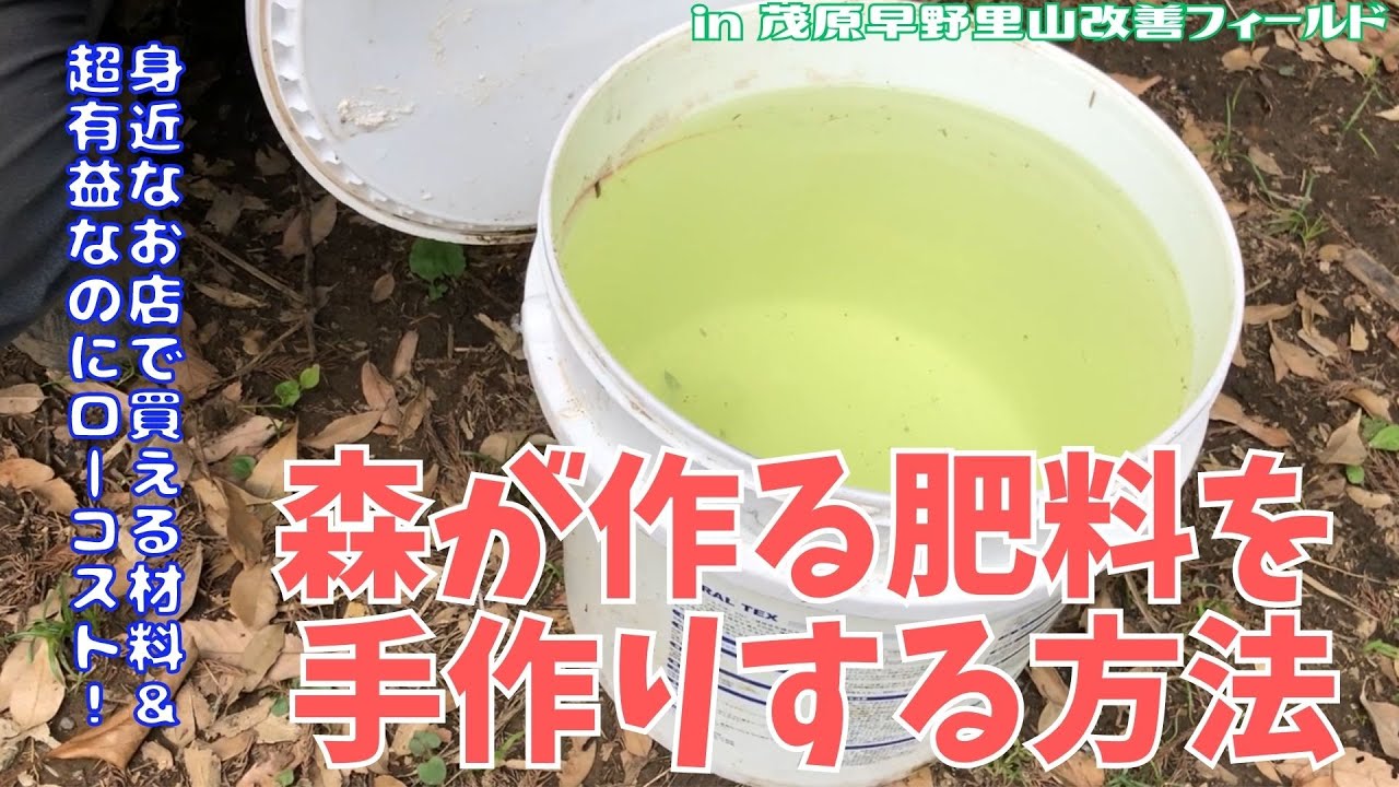 クエン酸鉄液(キレート鉄)を作る【里山再生・土壌改善・里山体験受付中・フルボ酸・フミン酸・森が育む微量元素】