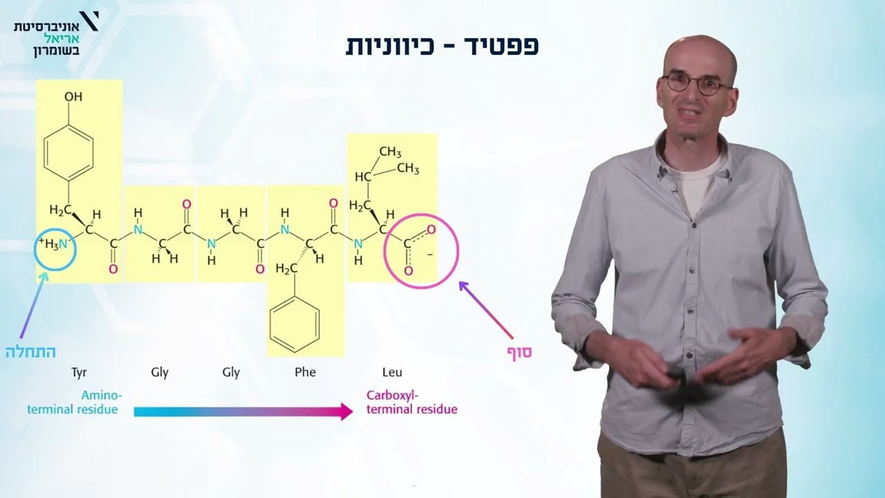 הקשר הפפטידי