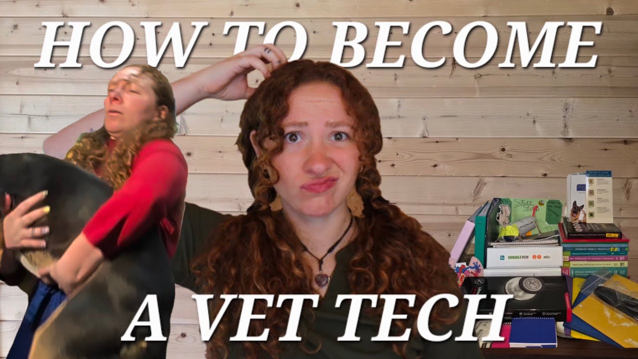 How To Become A Vet Tech (Licensed Veterinary Technician) PART 1 ~ WHY I CHOSE THIS PATH