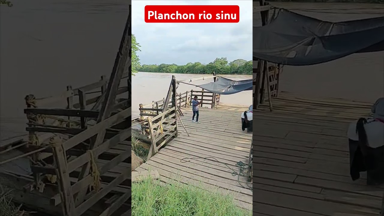 San pelayo C&oacute;rdoba #amoaloscaballos