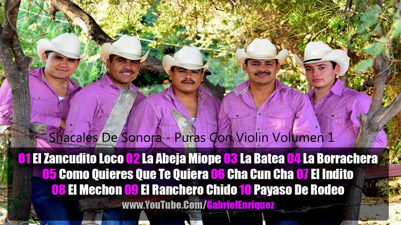 Shacales De Sonora - Puras Con Violin [VOLUMEN #1] [DISCO COMPLETO]