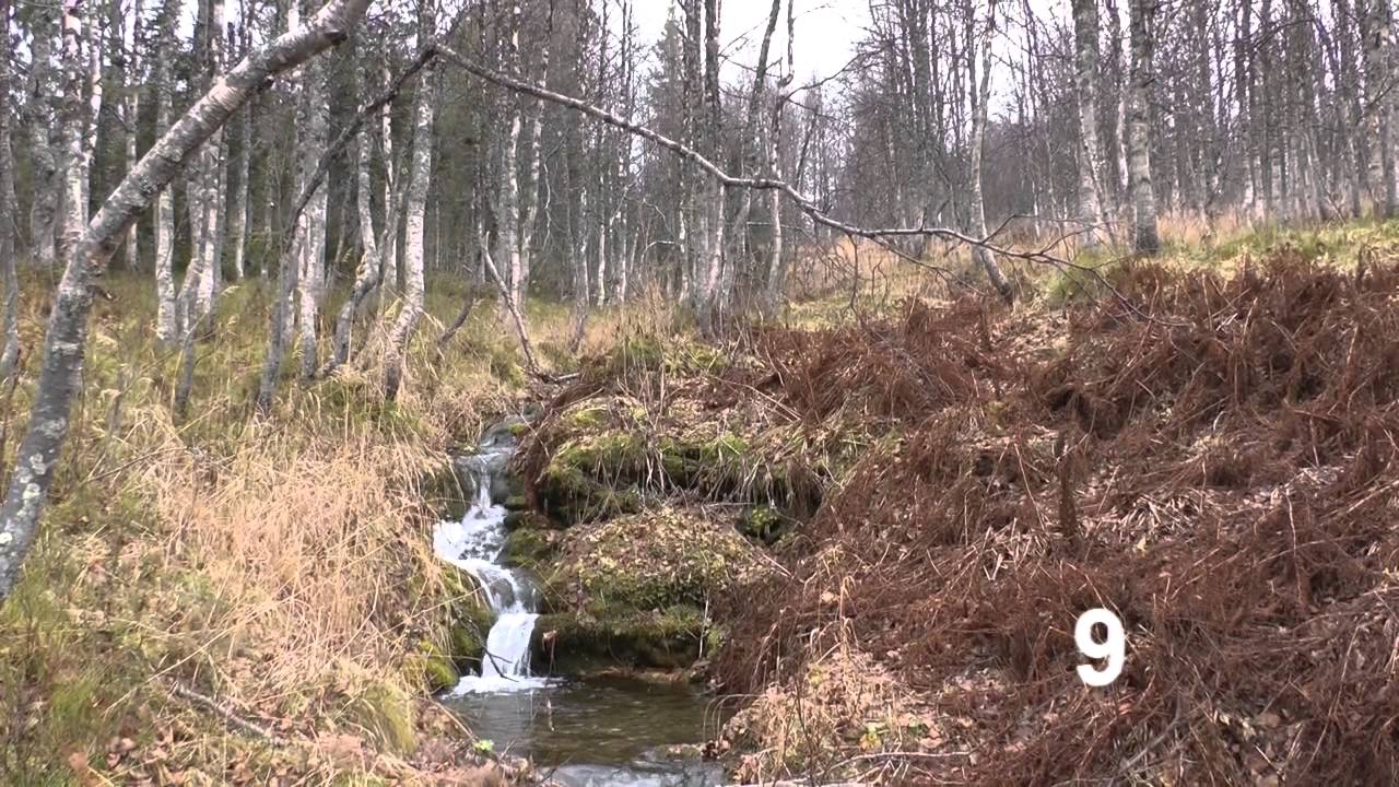 Перевал Дятлова, ч.1/5. 1 ручей от устья до верха