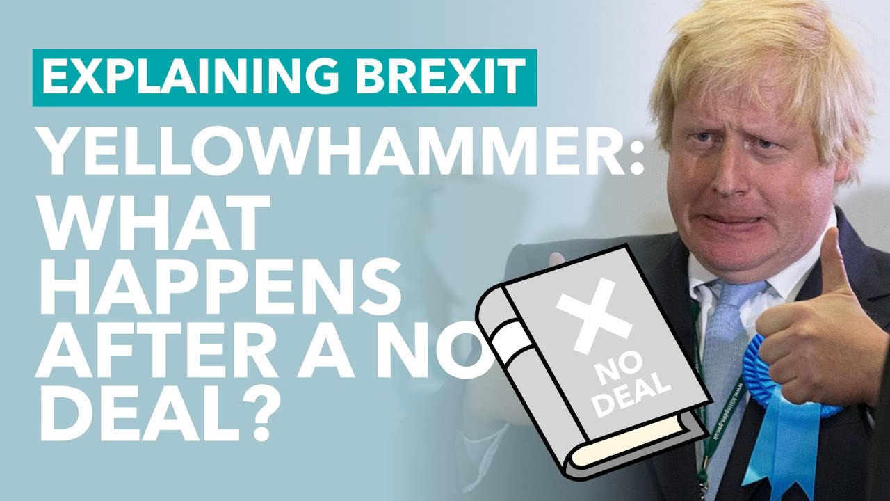 Leaked Government Document Reveals No Deal Consequences - Brexit Explained