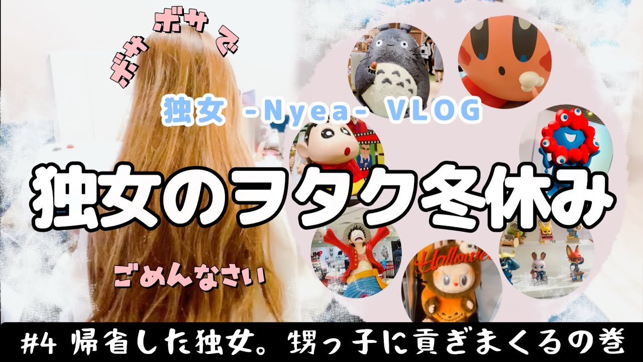 【冬休み】ヲタクを晒した年末年始。独身女の冬休み【vlog】