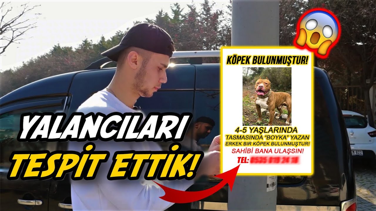 SAHTE K&Ouml;PEK İLANIYLA YALANCILARI TESPİT ETMEK! 😱
