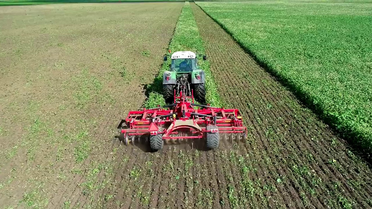 Carrier XL 525 tarpiniuose pasėliuose, 2019