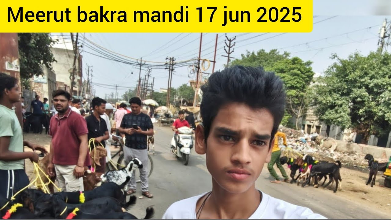 Meerut bakra mandi 17 jun 2025#vlog#goatfarm #bakramandi2025 #menda#video#allpets#fullvideo#fullvlog
