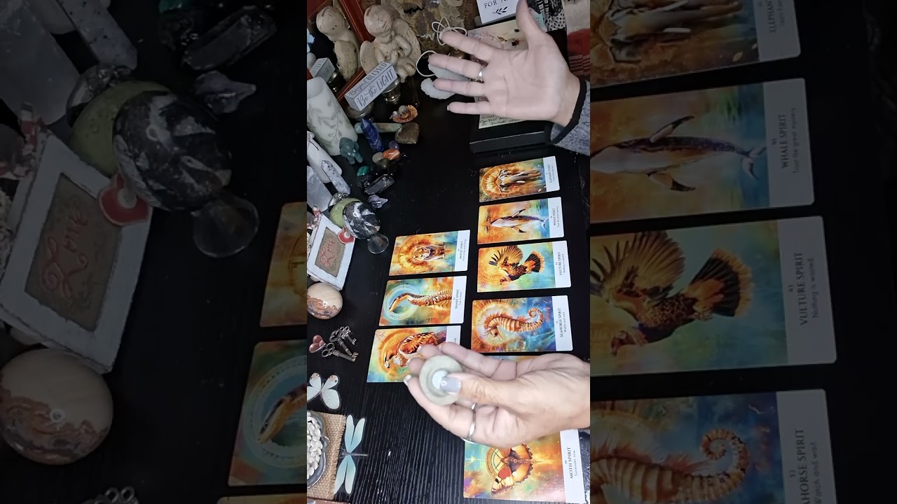 Mystical Animal Totem Oracle for Spiritual Guidance. (No creator, artist mentioned, nor a guidebook)
