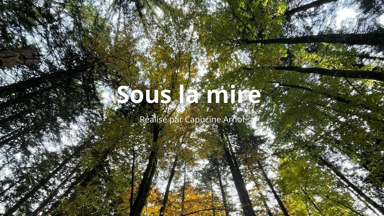 Sous la mire