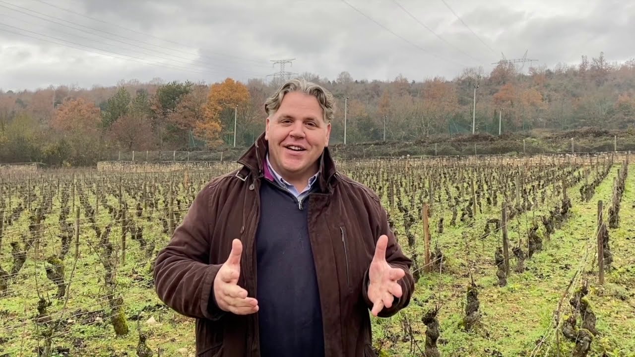 welcome in my Vineyard 22/23 Bourgogne Aligote 
