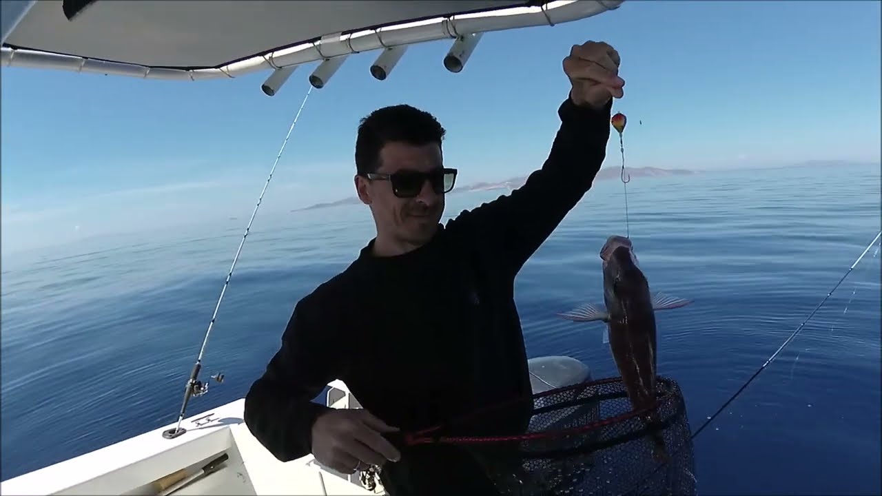 Δύσκολη εποχή αλλά με Hitotsu tenya κάτι γίνεται....