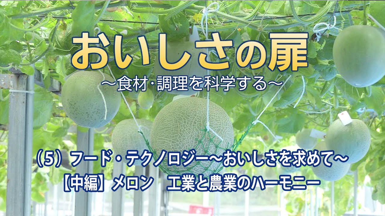 おいしさの扉　(5)フード・テクノロジー～おいしさを求めて～【中編】メロン工業と農業のハーモニー
