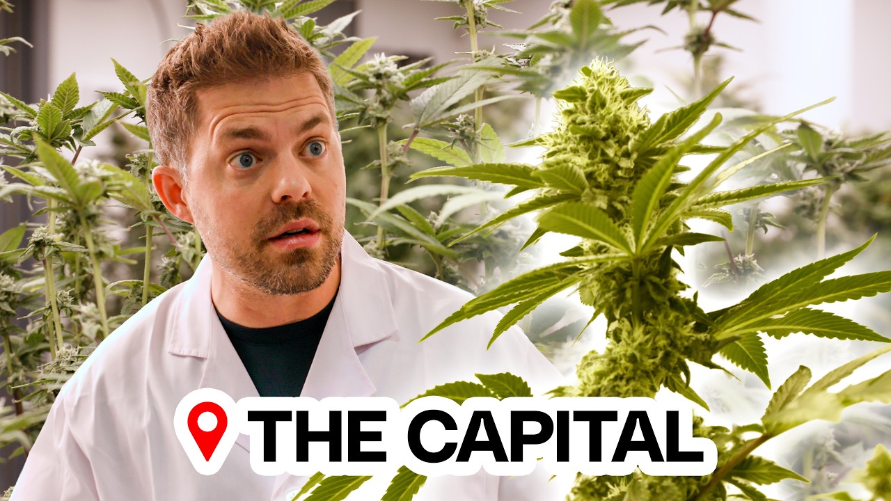 Inside DC&rsquo;s Political Cannabis Culture | The Great American Dispensary Tour Ep.3