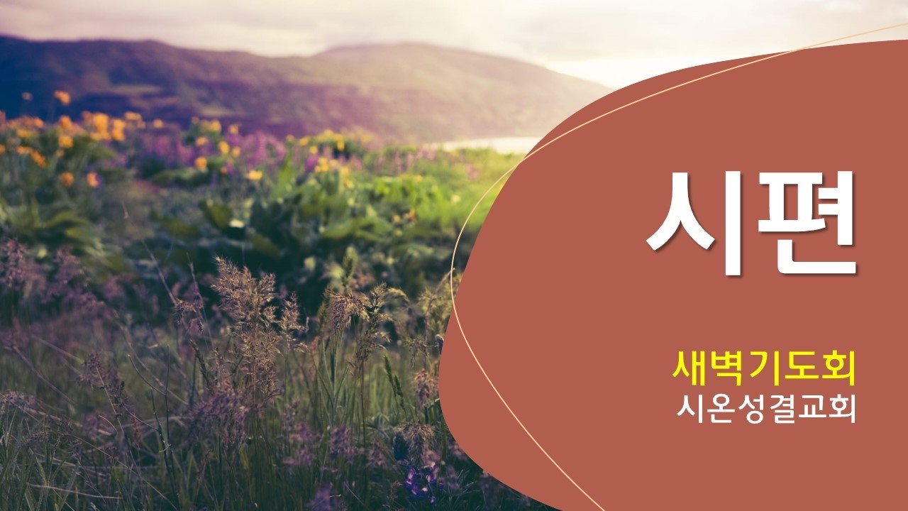 입술과 마음의 파수꾼 (새벽기도회: 02.11.26)