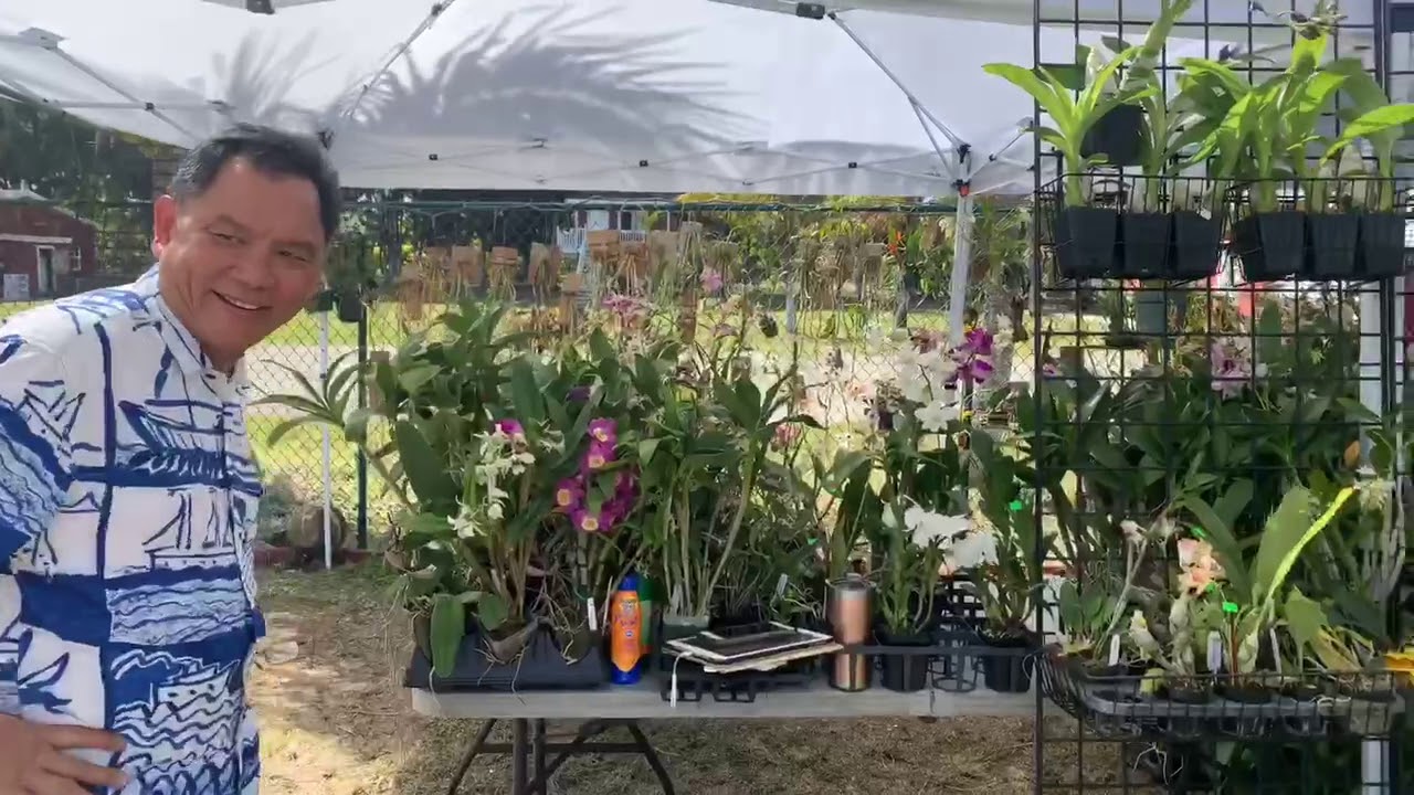 Let&rsquo;s Go Shopping, A visit to OFE Orchid Supply and Spring Water Orchids, Come with Me
