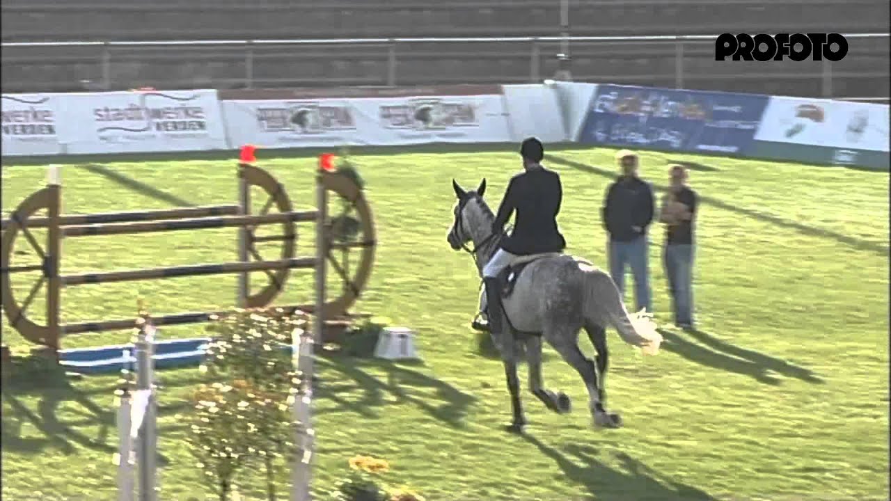 Christian v. Cartani - Lord Liberty, Turnier Verden 2013 - Böckmann Pferde