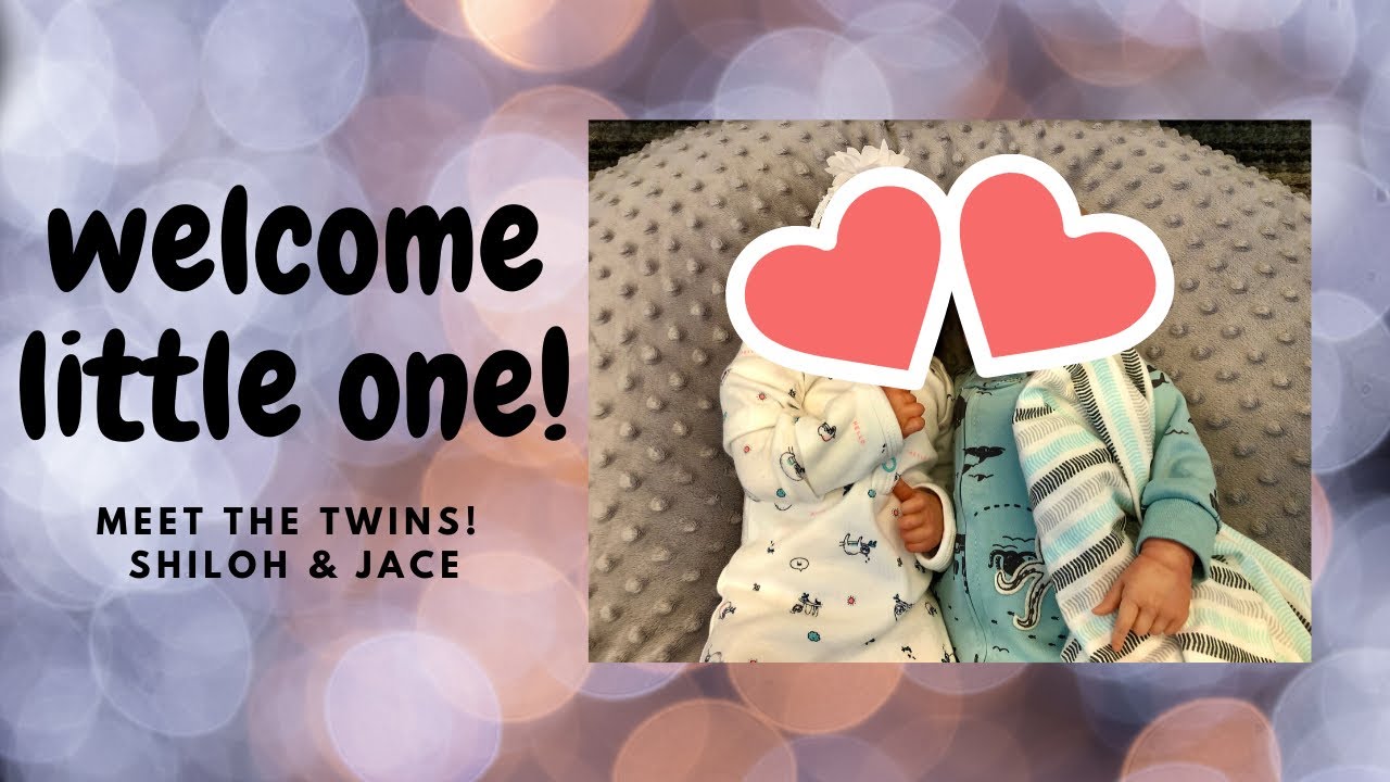 Reborn Baby Box Opening! Meet My Reborn Twins!