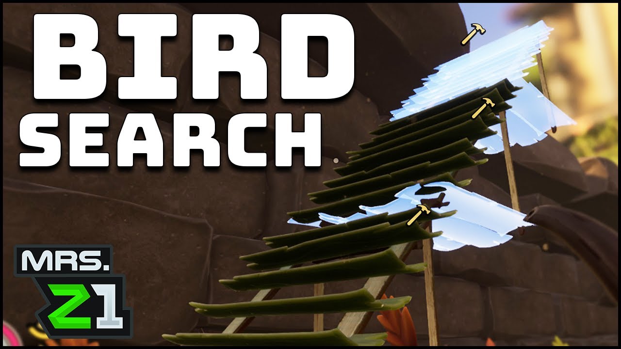 Where In The World Is This Bird !?! Grounded Episode 9 | Mrs. Z1