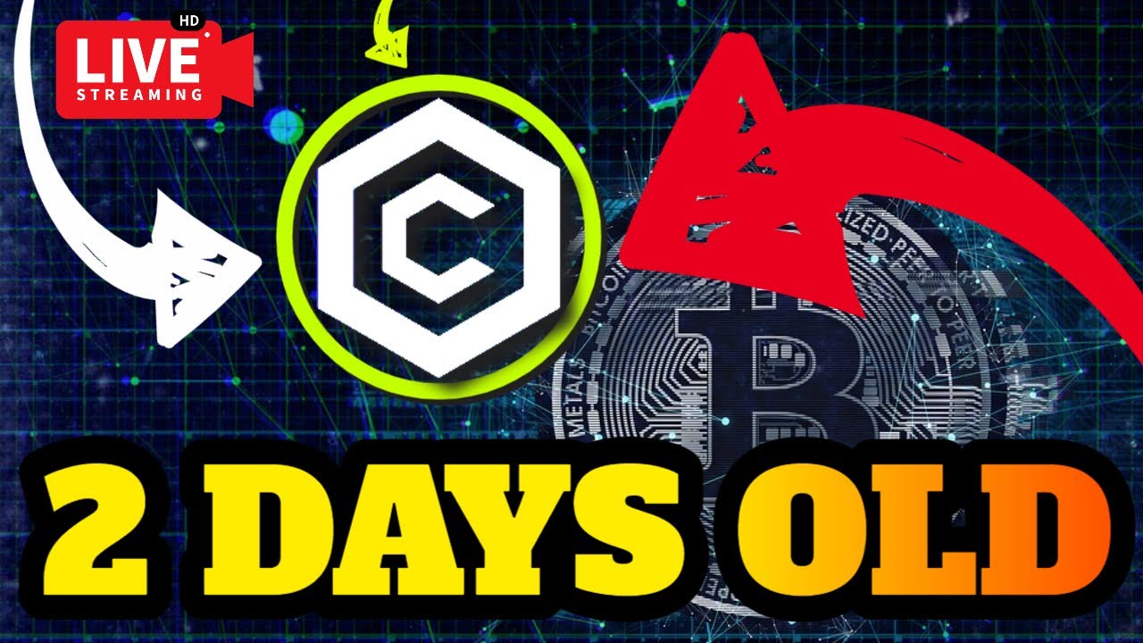 Cronos Chain Overview : Projects I'm Looking at... 👀 (VERY EARLY)