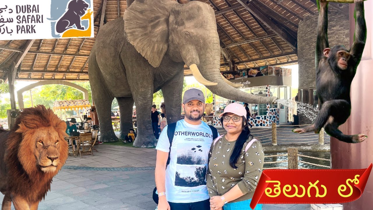 DUBAI SAFARI PARK Adventure | Telugu nomads