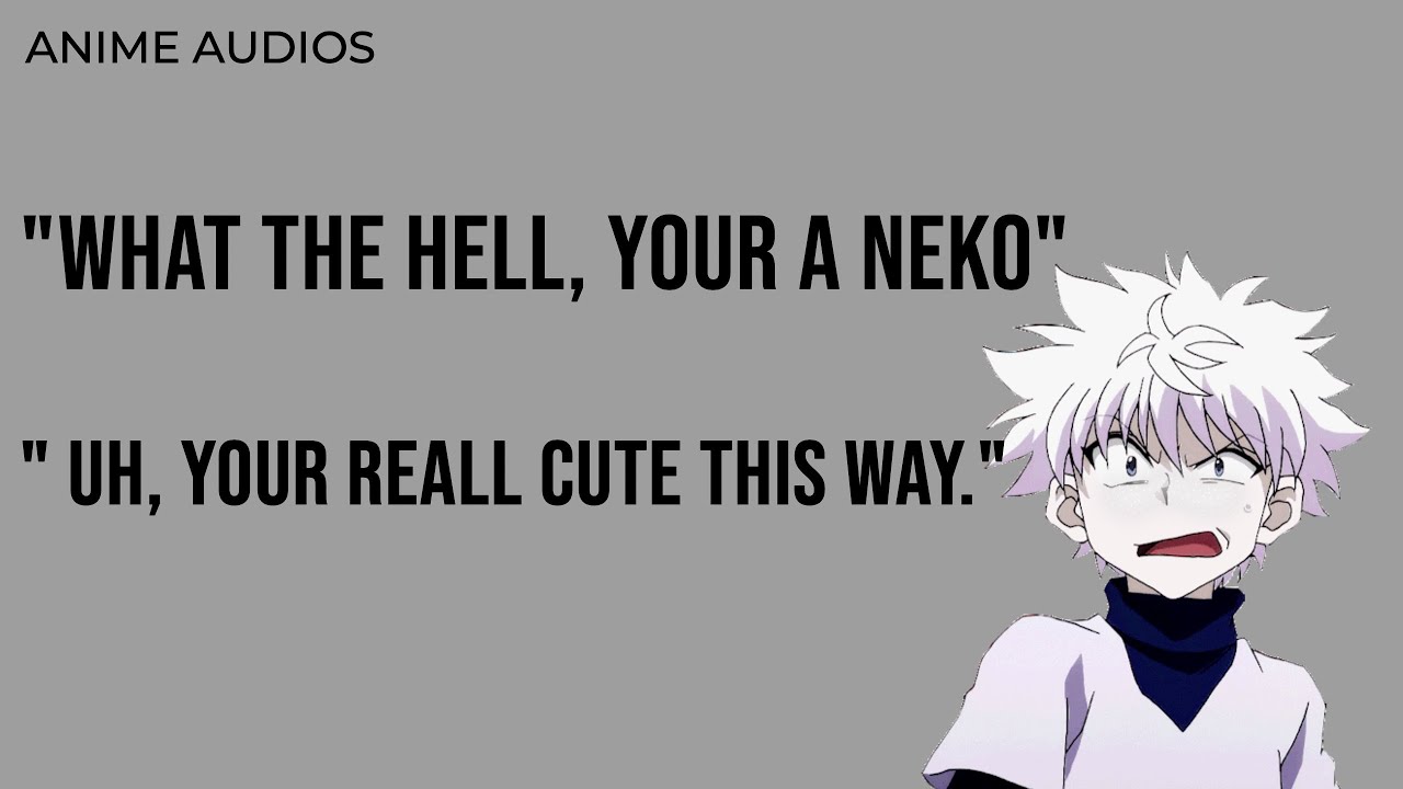 Listener turn into a neko🤭 (Killua x listener)