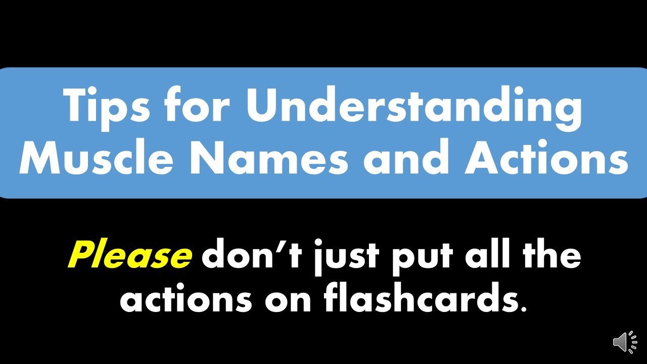 Muscle Practical Study Tips: Names, Actions, Synergists, Antagonists