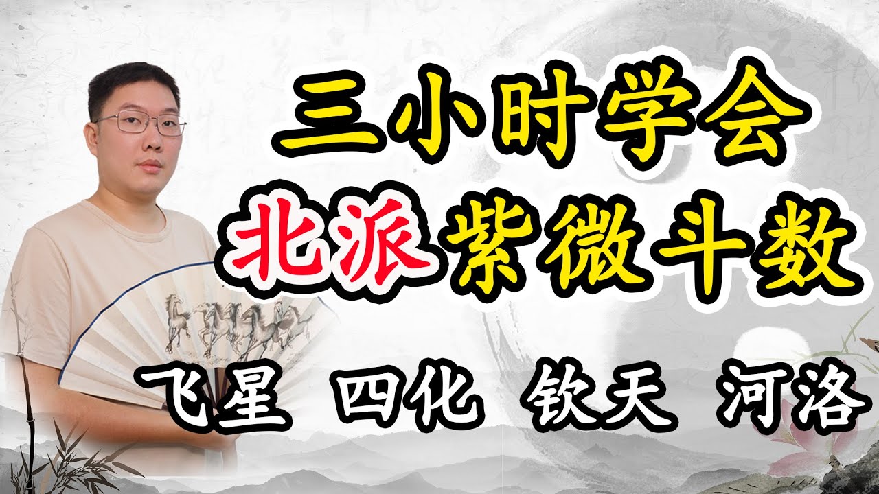 三小时学会北派紫微斗数，飞星、四化、钦天、河洛 基础入门到精通教学