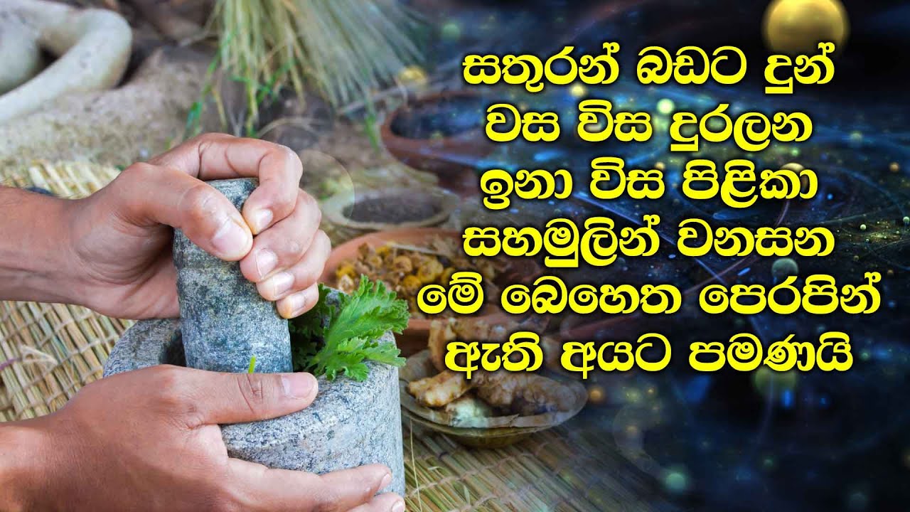 සතුරන් බඩට දුන් වස විස දුරලන ඉනා විස සහමුලින් වනසන මේ බෙහෙත පෙරපින් ඇති අයට පමණයි