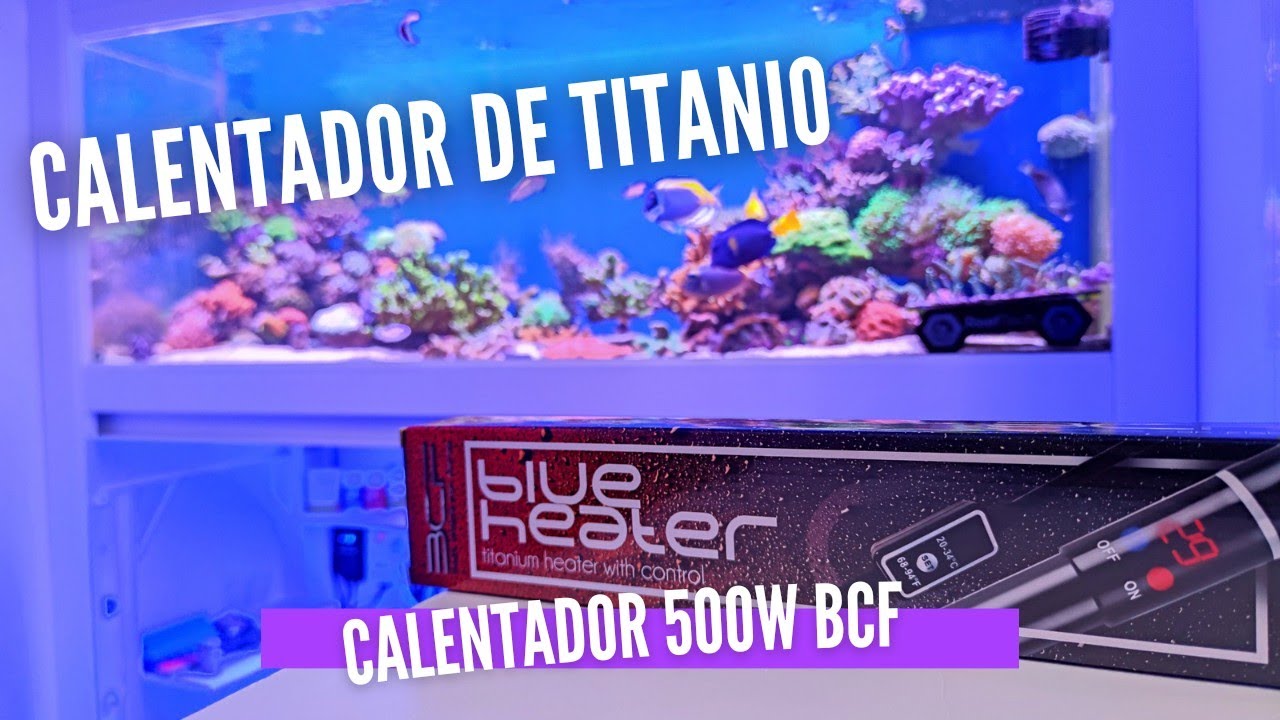 📌📌Calentador de Titanio para Acuario dulce o marino. BLUE HEATER de BCF 🔥🔥
