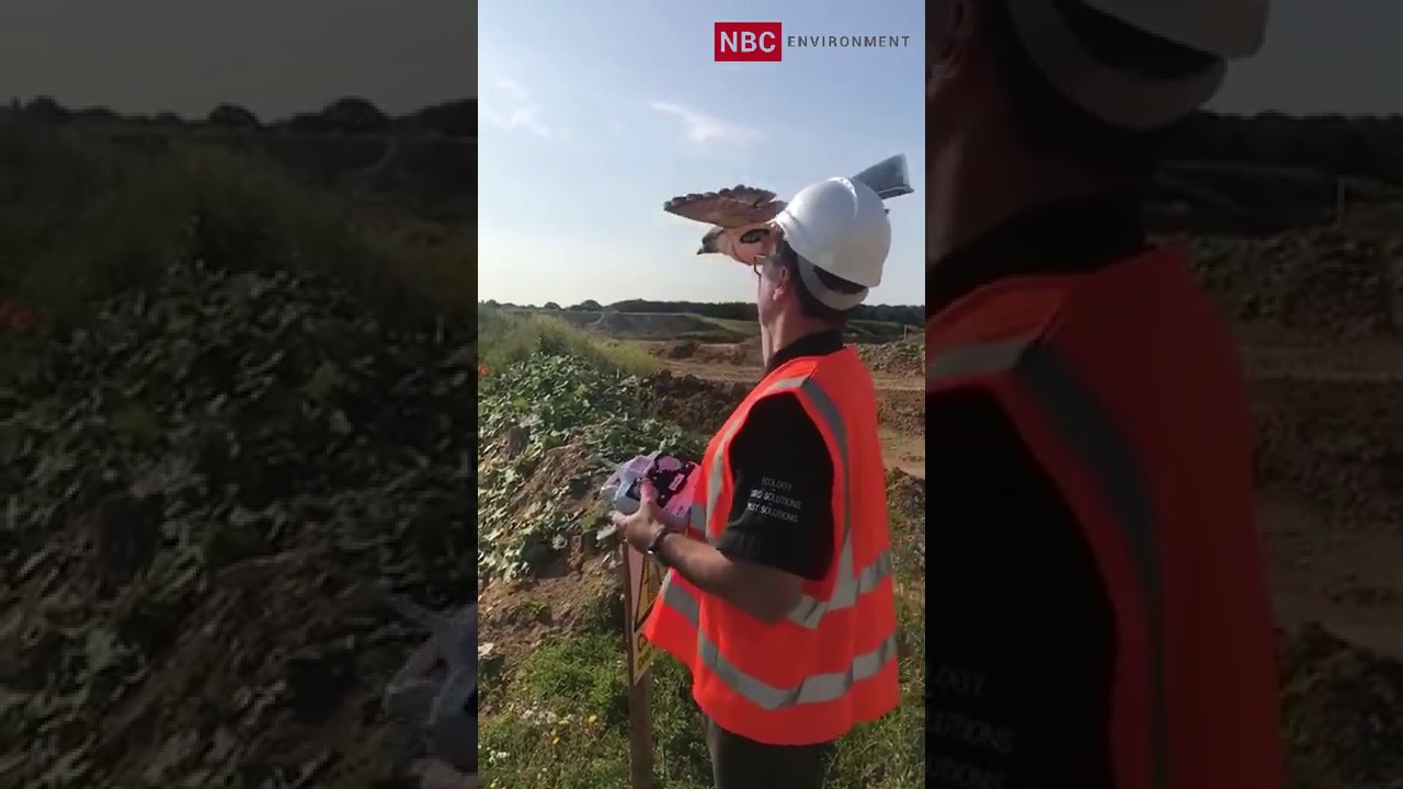 Rofalcon used on Landfill Site | NBC Environment