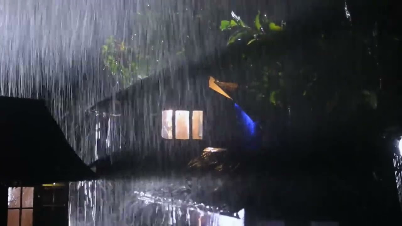 Rain Sounds for Sleeping | Fall Asleep Fast